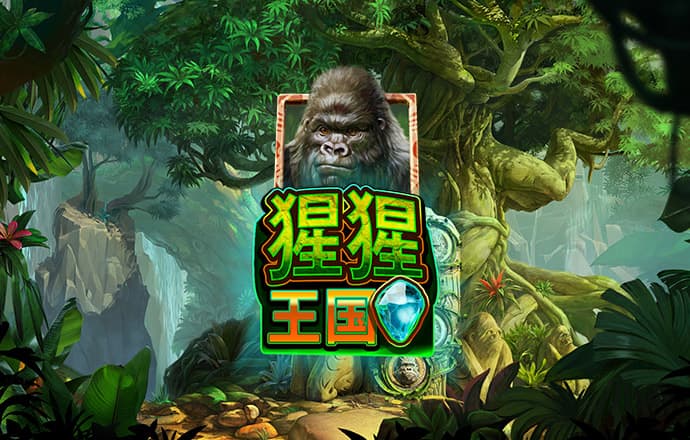 66868体育app